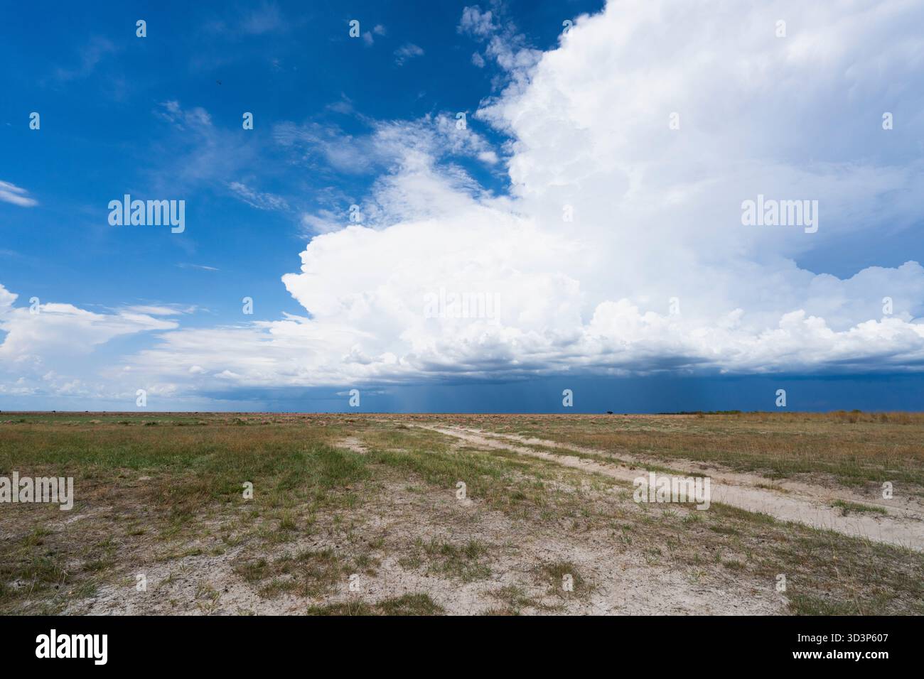 Splendido paesaggio africano che mostra una strada sterrata che conduce all'orizzonte. Scenario del deserto africano della savana. Liuwa Plain Park, Zambia, Africa Foto Stock