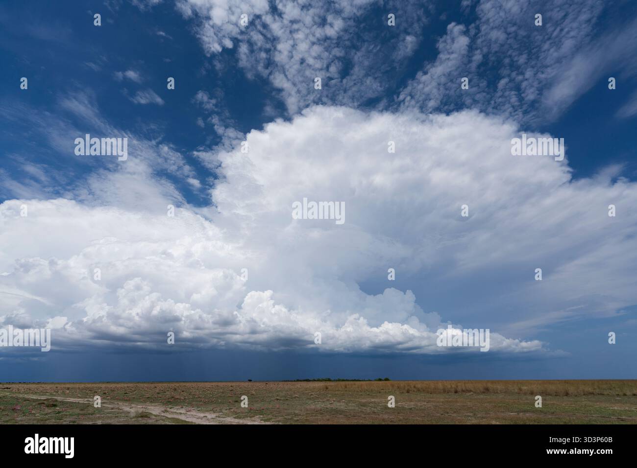Splendido paesaggio, scenario del deserto africano della savana. Parco nazionale di Liuwa Plain, Zambia, Africa Foto Stock