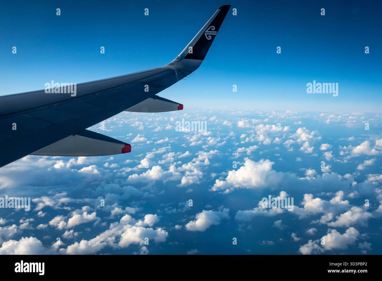 Wing of Air New Zealand Airbus 320 sopra le nuvole bianche sul Mare di Tasman, tra la nuova Zelanda e l'Australia Foto Stock