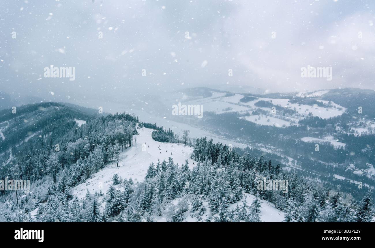 Foresta di montagna coperta di neve durante le forti nevicate Foto Stock