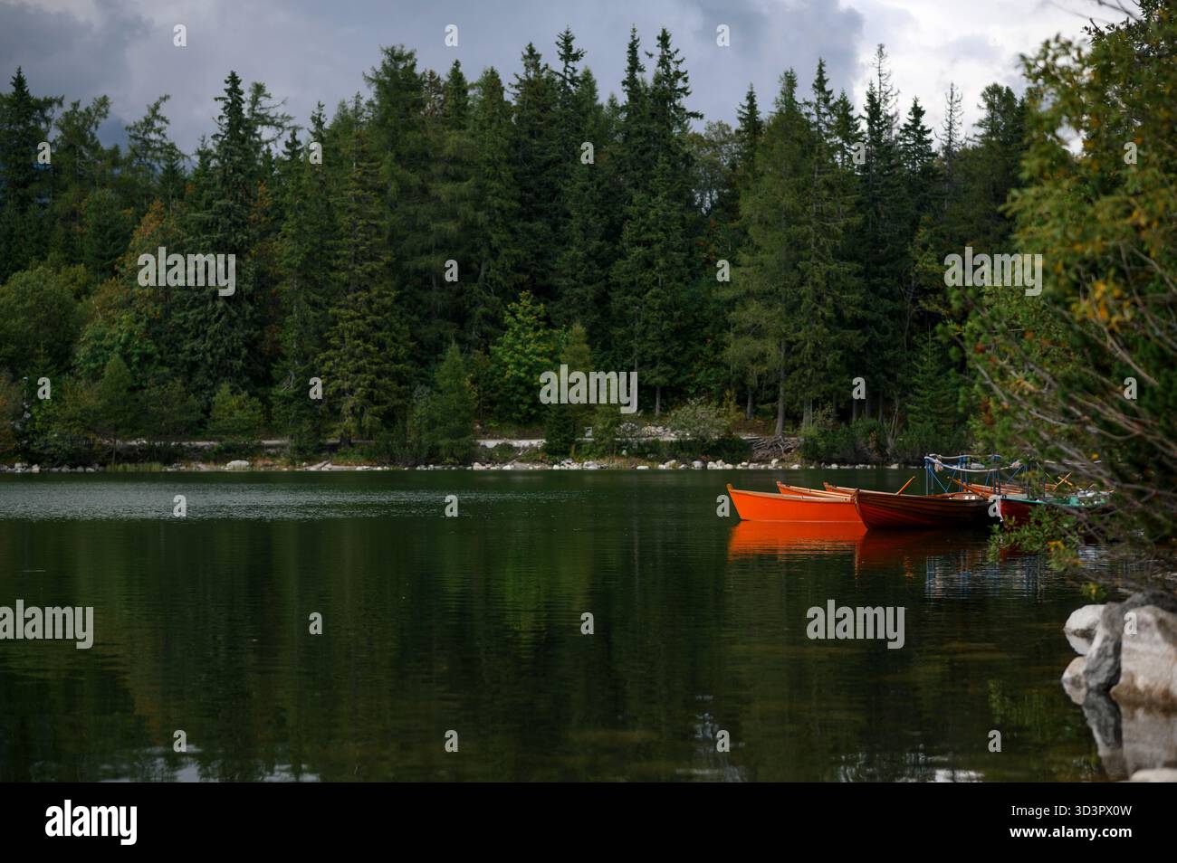Orange Boats sul tranquillo lago Forest Foto Stock