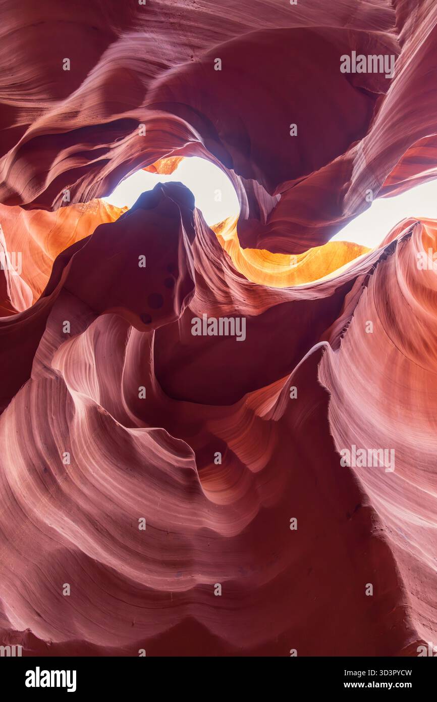 Splendida vista delle vorticose formazioni di arenaria nell'Antelope Canyon, Arizona, che sfoggiano calde sfumature di rosso e arancione con luce naturale che crea bea Foto Stock