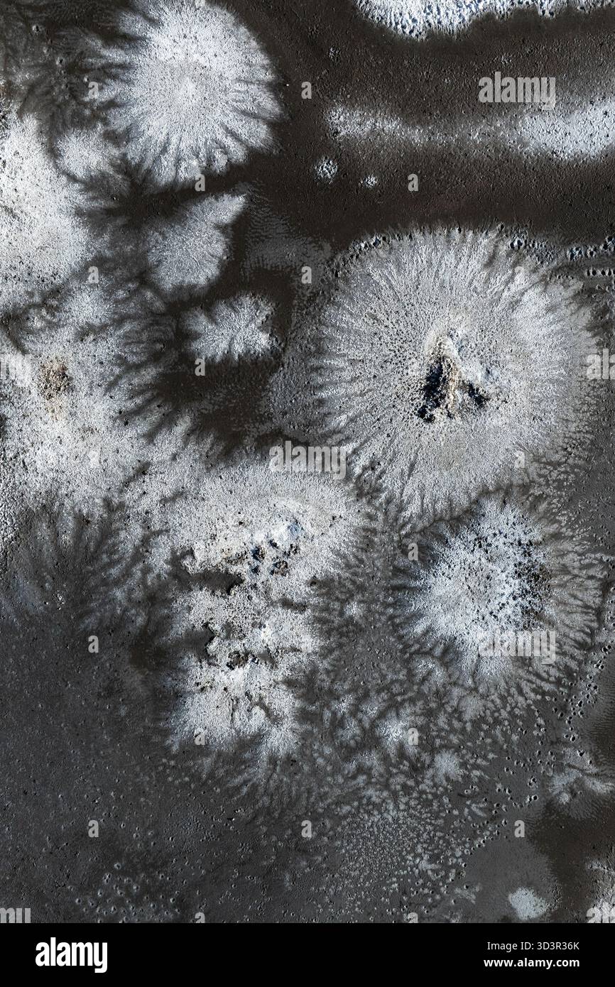 Intricate texture astratte in bianco e nero formate da motivi di sale cristallizzato. Il contrasto e i dettagli creano un aspetto accattivante che evoca il natu Foto Stock