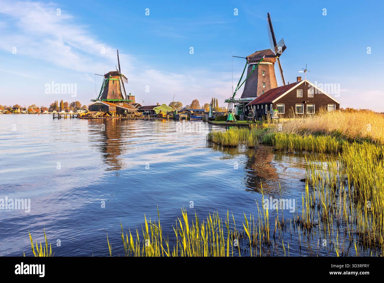 Zaanse Schans villaggio, Paesi Bassi. Mulino a vento olandese e casa tradizionale all'alba. Foto Stock
