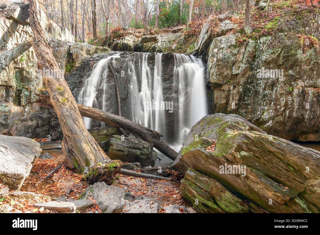Cascate Kilgore nella sezione Falling Branch del Rocks State Park. Contea di Harford. Maryland. STATI UNITI Foto Stock