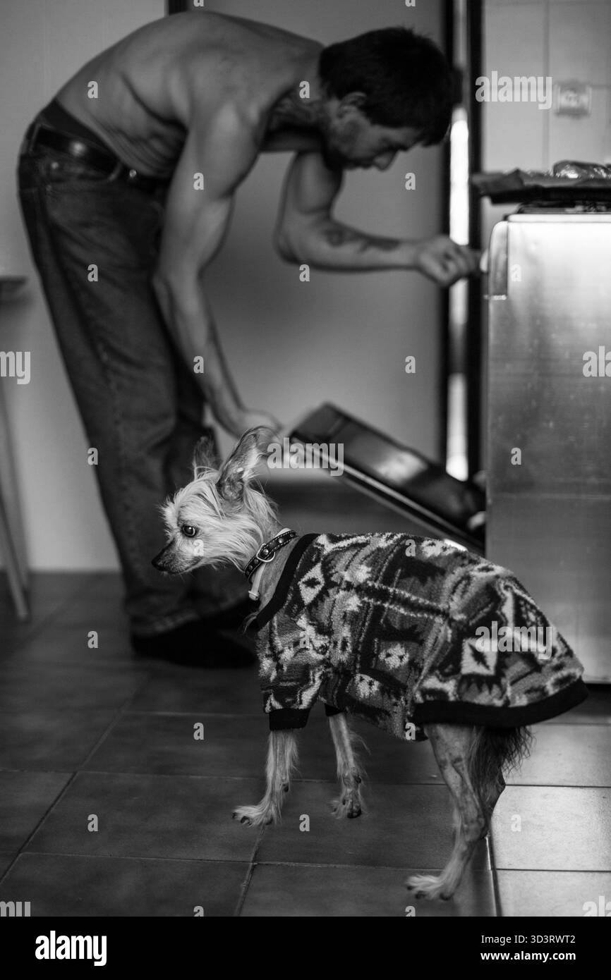 Loyal Companion Watches Man Tende to the Oven, Man and Dog in the Kitchen Foto Stock
