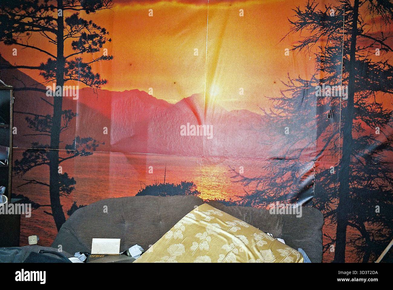 La carta da parati rossastra si sbuccia imperfettibilmente in una casa da demolire, un divano davanti, catturato con un flash analogico che evidenzia i difetti. Foto Stock