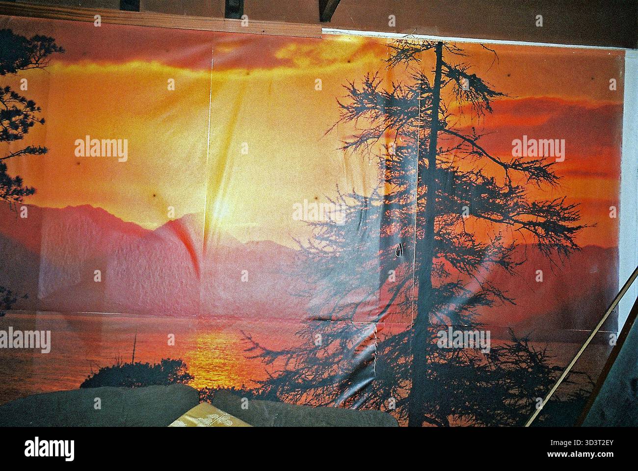 La carta da parati rossastra si sbuccia imperfettibilmente in una casa da demolire, un divano davanti, catturato con un flash analogico che evidenzia i difetti. Foto Stock