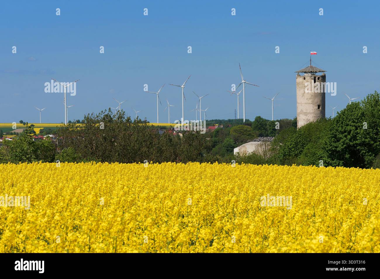 Paesaggio primaverile con colza e antico castello di Ilza Foto Stock