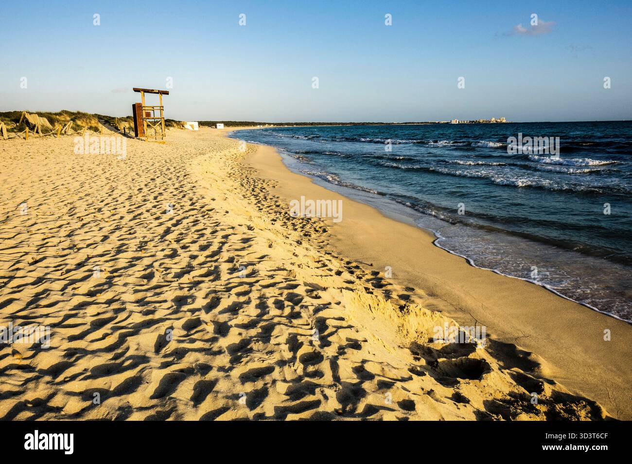 SES Covetes Beach, Campos del Puerto, Migjorn, Maiorca, Isole Baleari, Spagna, Europa Foto Stock
