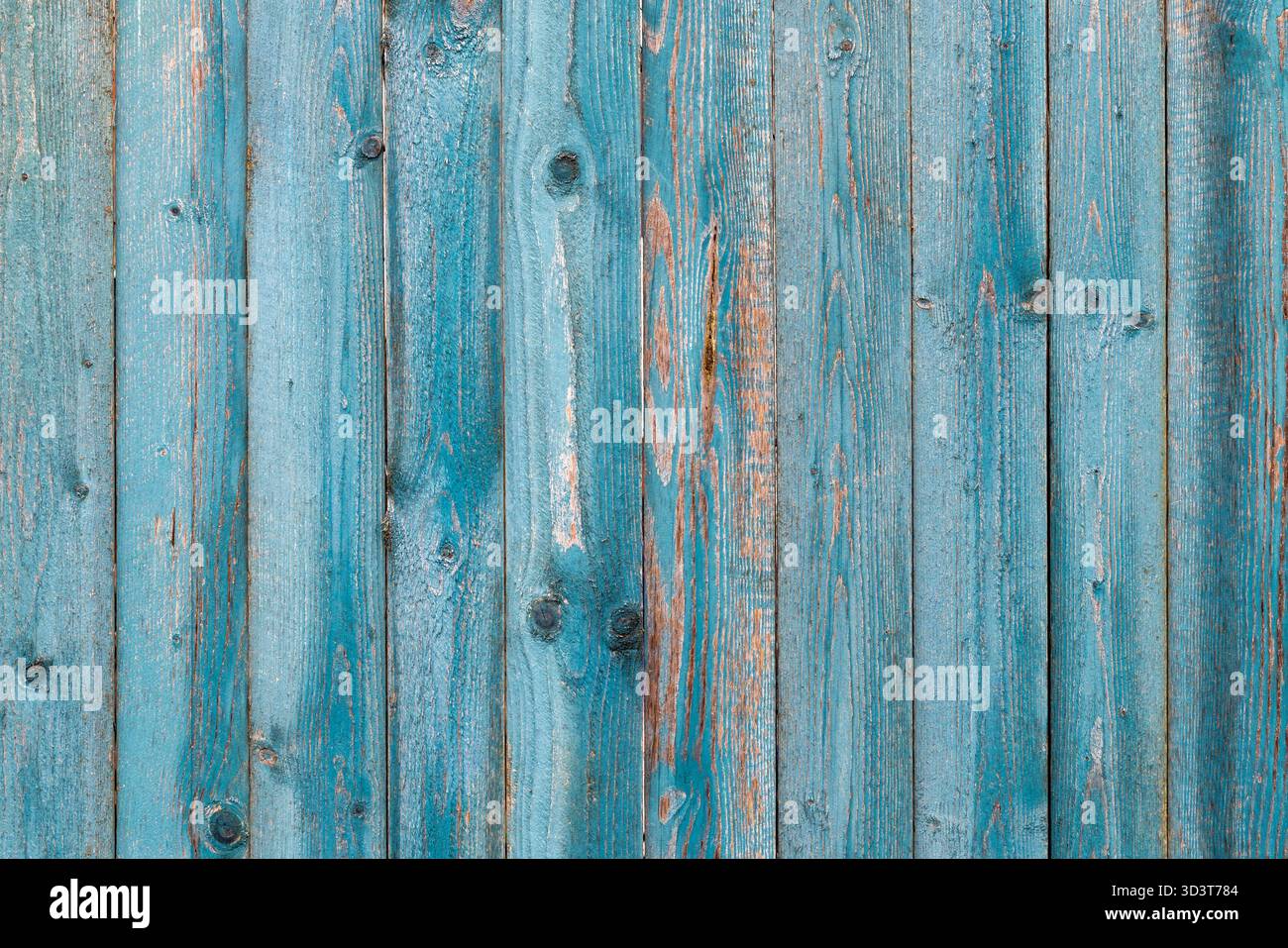 Primo piano di tavole di legno blu intemprate con grana visibile, nodi e vernice usurata. Sfondo testurizzato perfetto per il design, lo sfondo fotografico, Foto Stock