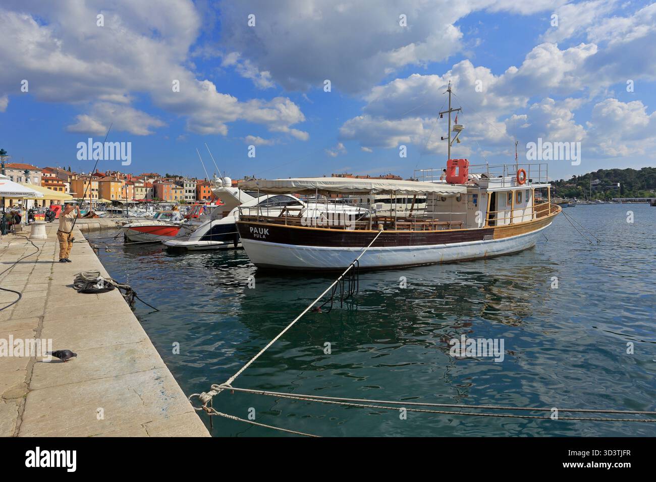 Barche nel porto di Rovigno e nella città vecchia, Rovigno, Istria, Croazia, Europa. Foto Stock