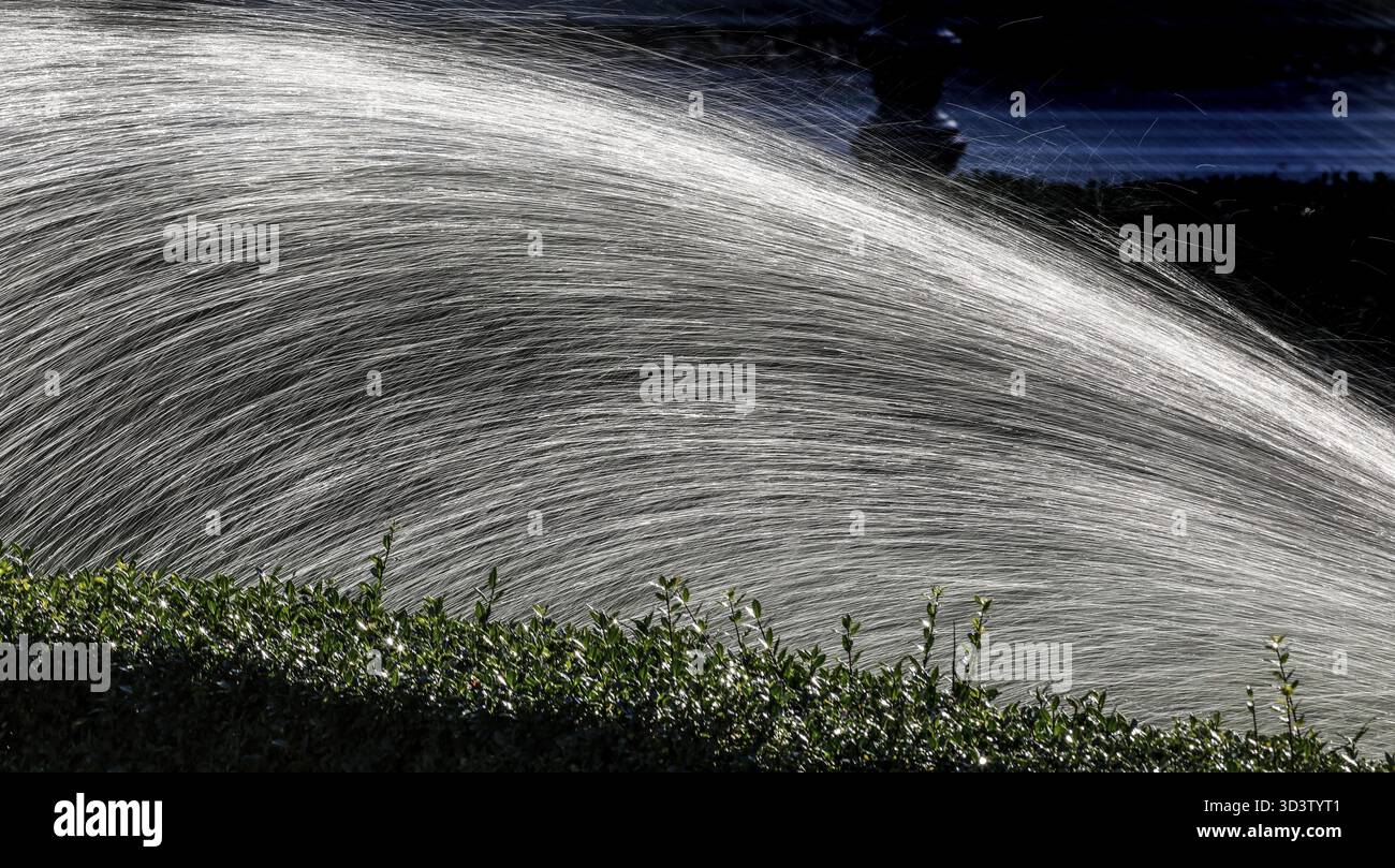 Irrigatore per prati, acqua, acqua dolce, immagine simbolica, acqua, gocce d'acqua, pioggia, erba, siccità, cambiamenti climatici, Berlino, Germania Foto Stock