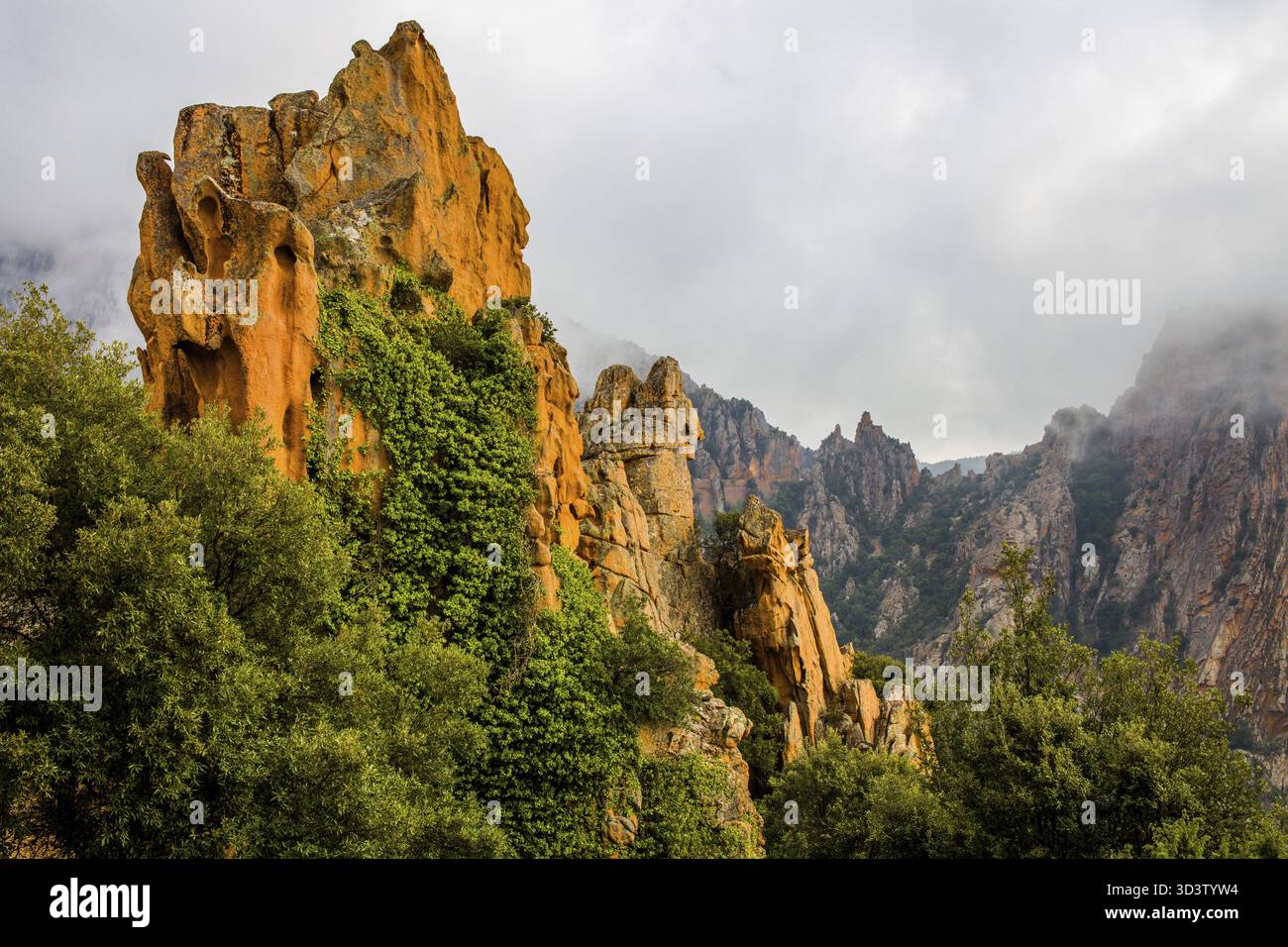 Calanche, bizzarre formazioni rocciose a 400 m sul livello del mare, patrimonio dell'umanità dell'UNESCO, Corsica, piana, Corsica, Francia Foto Stock