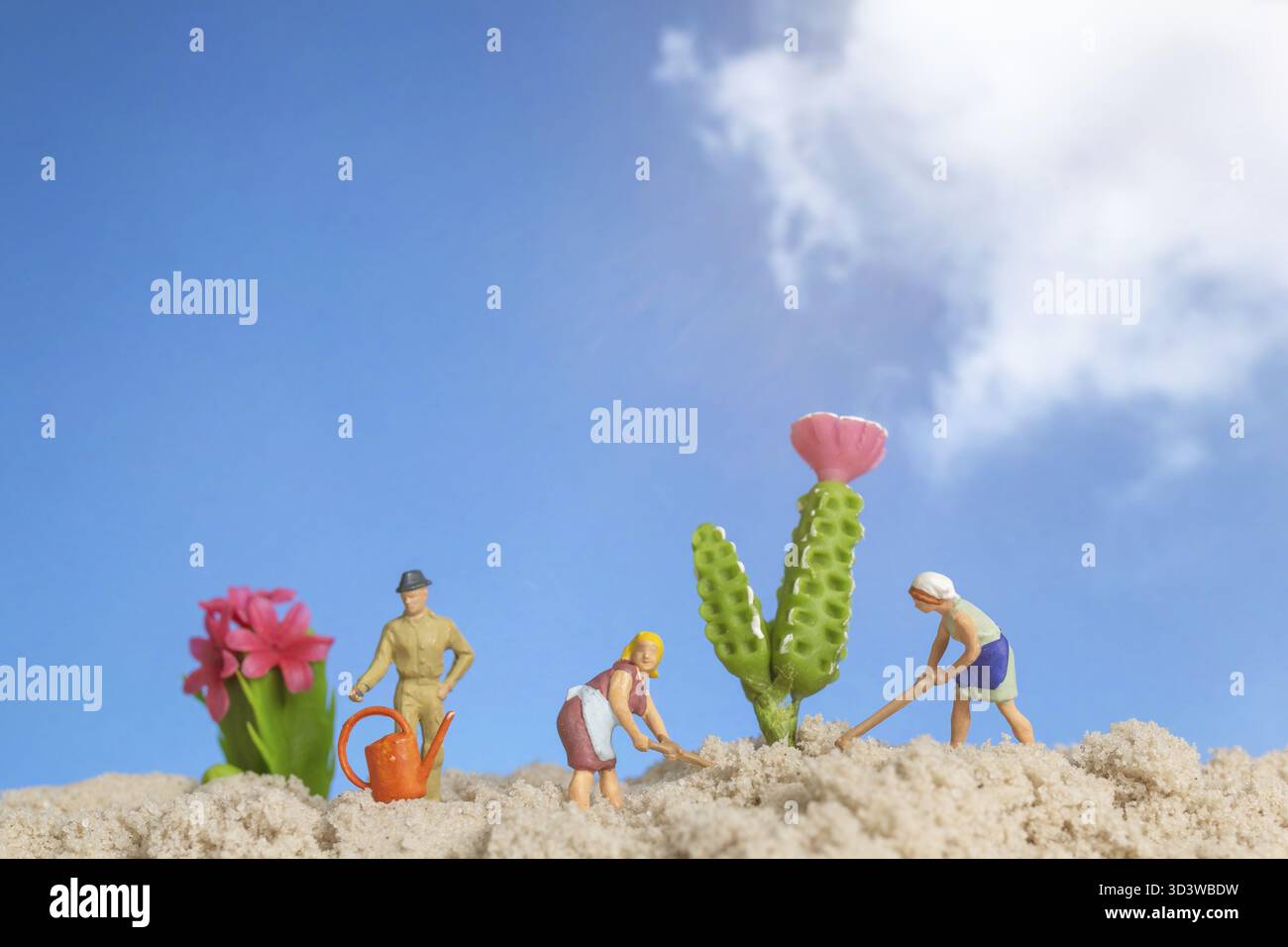 Giardiniere in miniatura che lavora sulle piante di cactus, concetto di hobby per il giardinaggio domestico Foto Stock