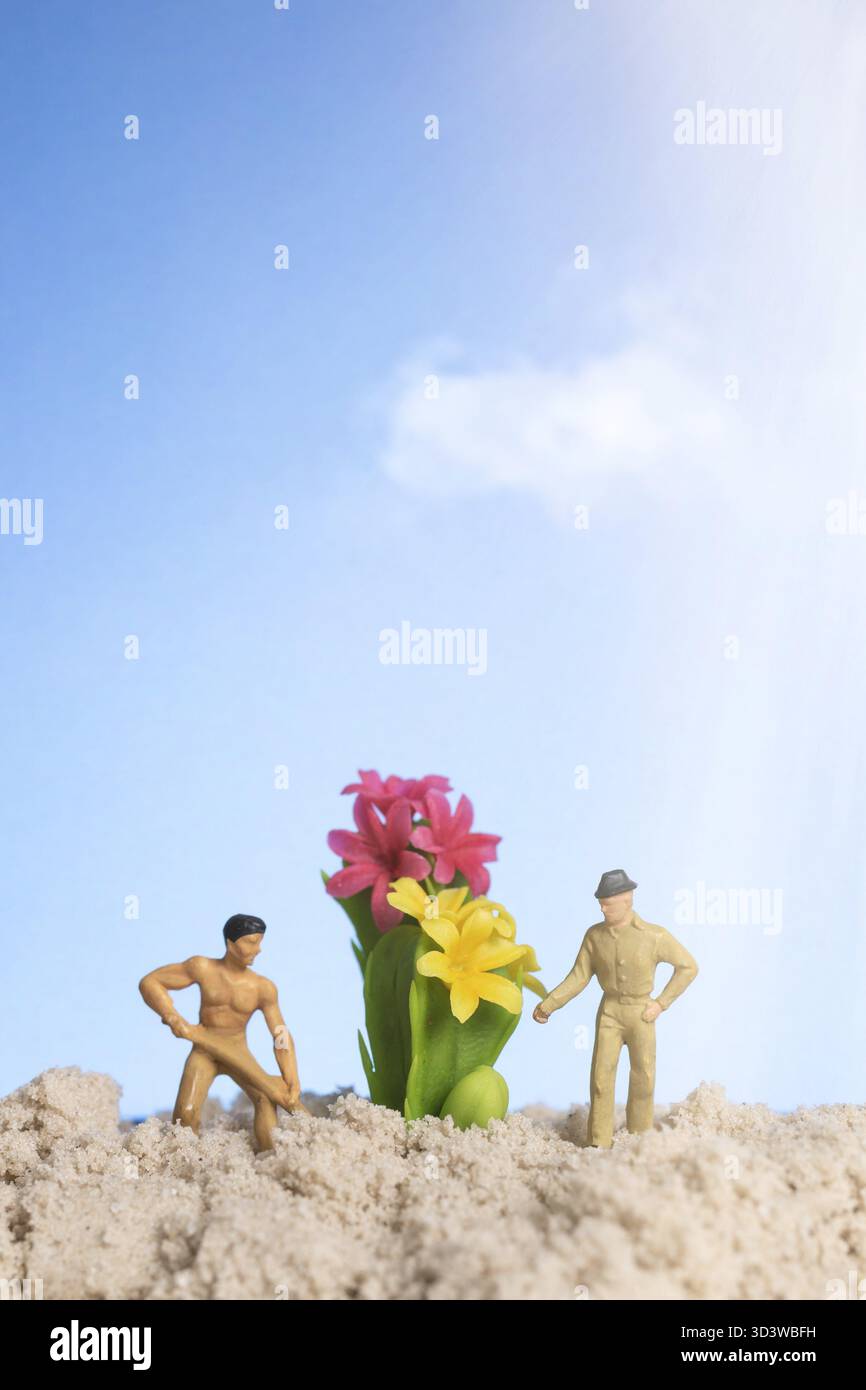 Giardiniere in miniatura che lavora sulle piante di cactus, concetto di hobby per il giardinaggio domestico Foto Stock