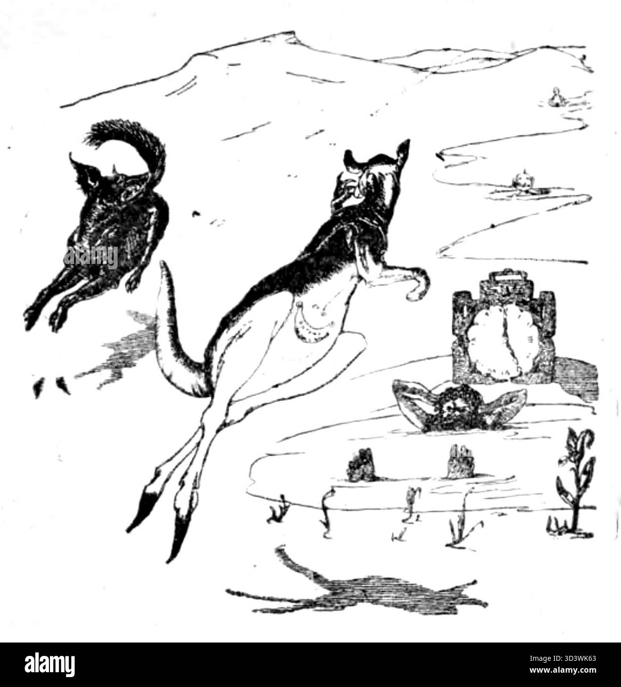 Questa illustrazione a pagina 045 dell'edizione polacca del 1922 di "Takie sobie bajeczki" di Rudyard Kipling offre una rappresentazione visiva della narrazione di Kipling, disegnata da un artista anonimo. Foto Stock