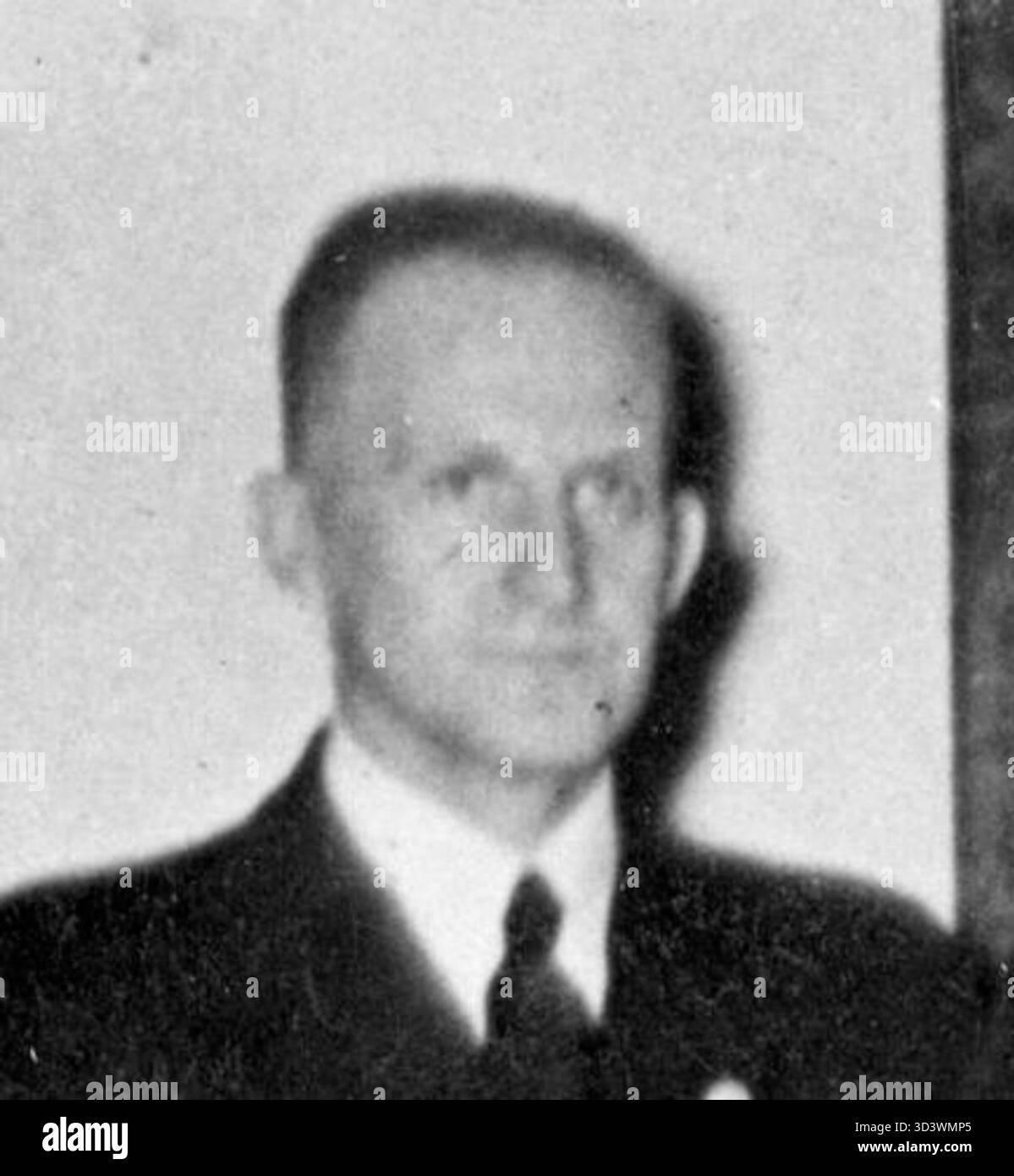 Nel 1939, diversi Volksdeutsche dalla Polonia furono decorati da Adolf Hitler a Berlino. Tra questi vi erano Ludwig Wolff, otto Ulitz e altre figure politiche, tra cui sindaci e alti funzionari. L'evento faceva parte degli sforzi della Germania nazista per consolidare il suo controllo sui tedeschi etnici nei territori occupati. Foto Stock