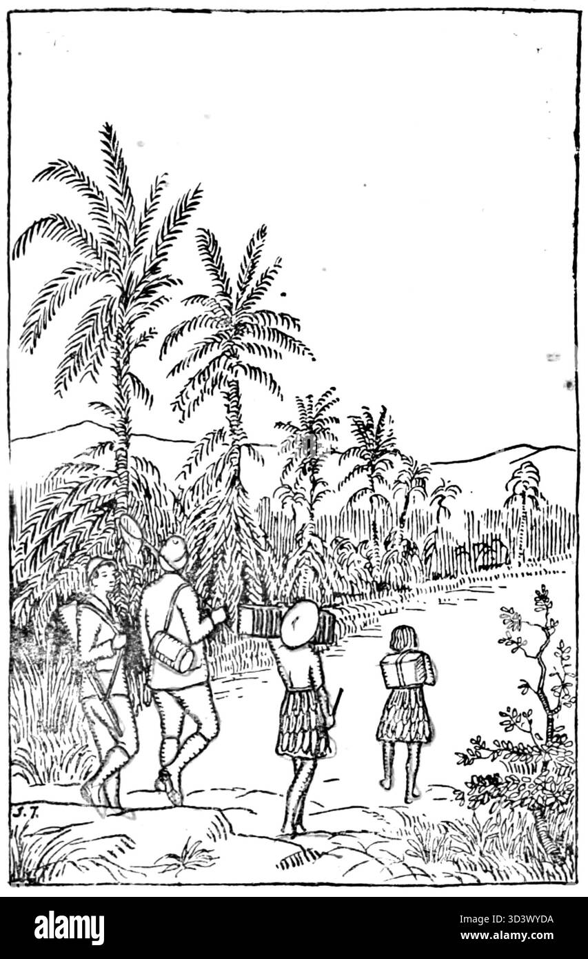 Illustrazione da 'W kraju orangutanów i rajskich ptaków' (nella terra degli oranghi e degli uccelli del Paradiso), 1922. Questo lavoro presenta i ricchi e variegati ecosistemi del sud-est asiatico, concentrandosi sulla fauna selvatica indigena come gli oranghi e gli uccelli del paradiso. Foto Stock