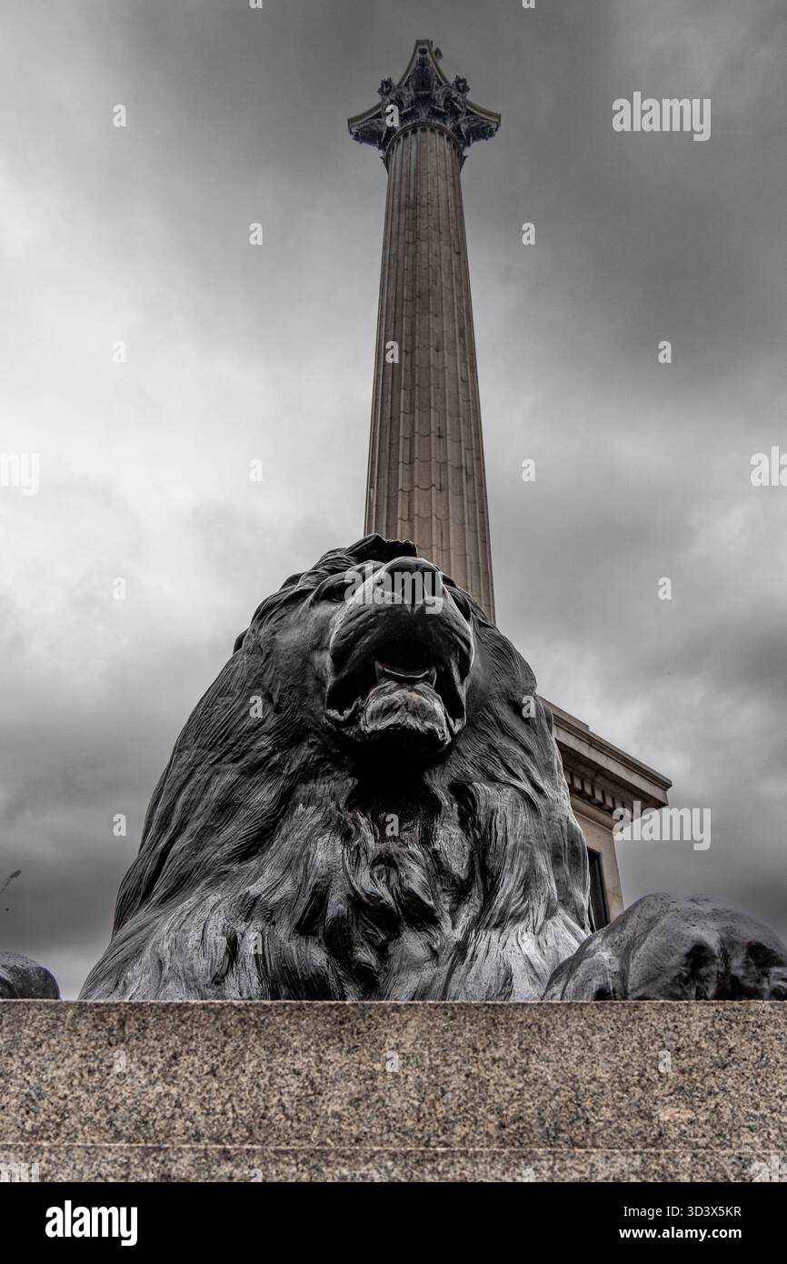 Statua del leone di Trafalgar Square a guardia della colonna di Nelson Foto Stock