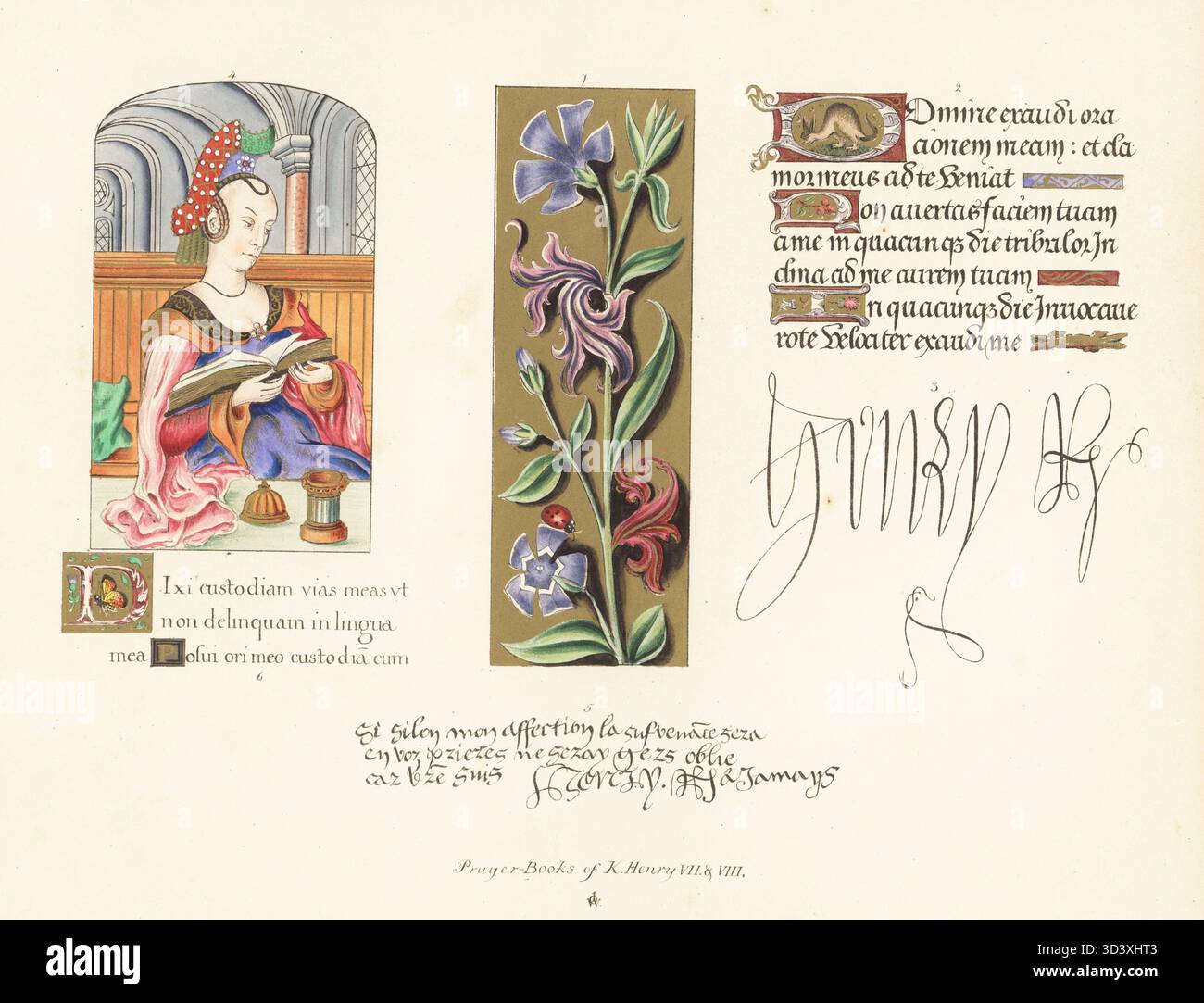 Libri di preghiera di re Enrico VII e re Enrico VIII d'Inghilterra. Bordo floreale illuminato 1 e 101° Salmo 2 dal Messale di Re Enrico VII, Reg MS 2 D 40. Autografo di Enrico VII dal suo Libro di preghiera 3. Ritratto in miniatura di Maria Maddalena 4, autografo di Enrico VIII 5 dal suo Messale, Royal MS 9. Salterio 6 di Enrico VIII, Royal MS 2 A 16. Chromolithograph dopo un'illustrazione di John Obadiah Westwood dalla sua Palaeographia Sacra Pictoria, essendo una serie di illustrazioni delle versioni antiche della Bibbia, copiate da Illuminated Manuscripts, William Smith, Londra, 1843. Foto Stock