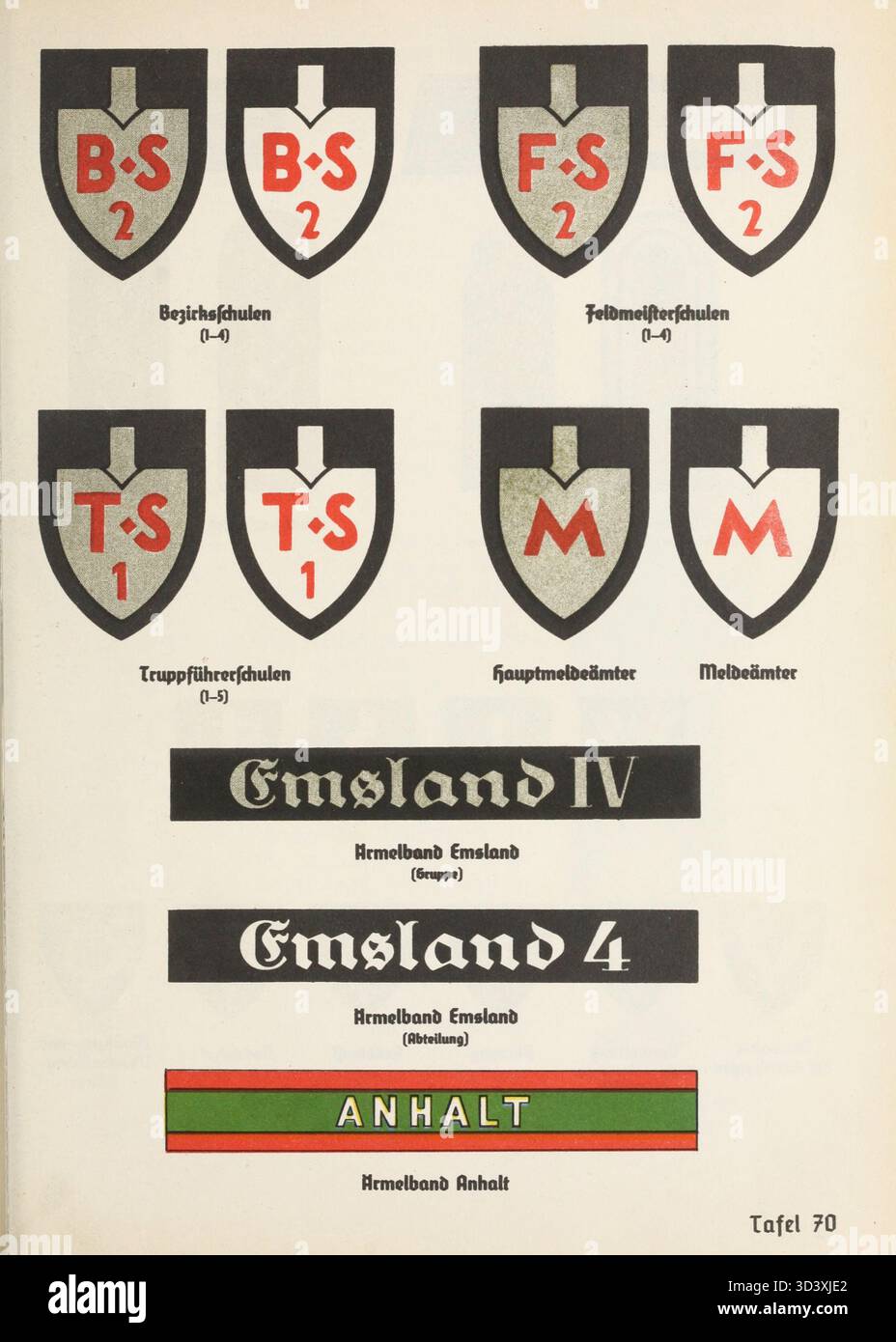 Questa immagine tratta dal "Libro dell'Organizzazione del NSDAP" del 1936 illustra l'uniforme e le insegne del Reichsarbeitsdienst (RAD). La RAD era un'organizzazione nazista focalizzata sul servizio di lavoro obbligatorio per i giovani uomini in Germania durante gli anni '1930, con un'enfasi sull'addestramento e il supporto militare durante la seconda guerra mondiale Foto Stock