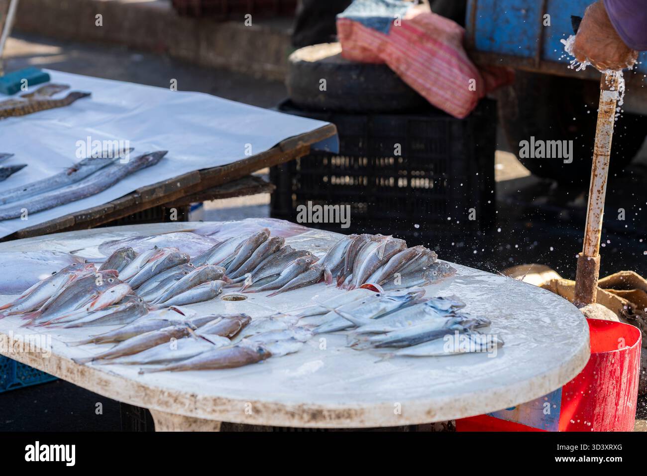Pesci crudi freschi esposti al mercato del pesce di Essaouira, Marocco. Pesce fresco esposto al mercato del pesce di Essaouira, Marocco. Foto Stock