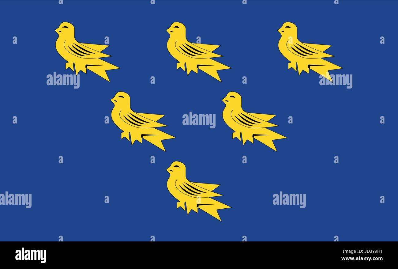 Bandiera del Sussex: Bandiera blu e dorata con sei Martlet dorati, emblema della contea inglese, patrimonio regionale Illustrazione Vettoriale