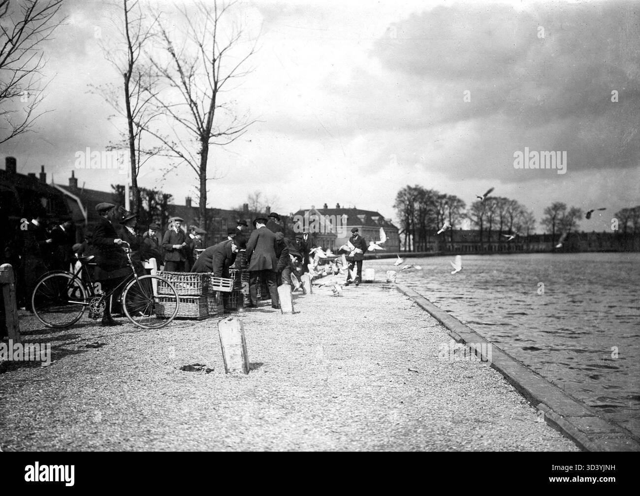 Questa fotografia del 1913 mostra l'inizio della stagione delle corse dei piccioni nei Paesi Bassi, con i membri dell'associazione dei piccioni "Wilhelmina" che rilasciano i loro uccelli a Oudekerk aan de Amstel per il primo volo. Foto Stock