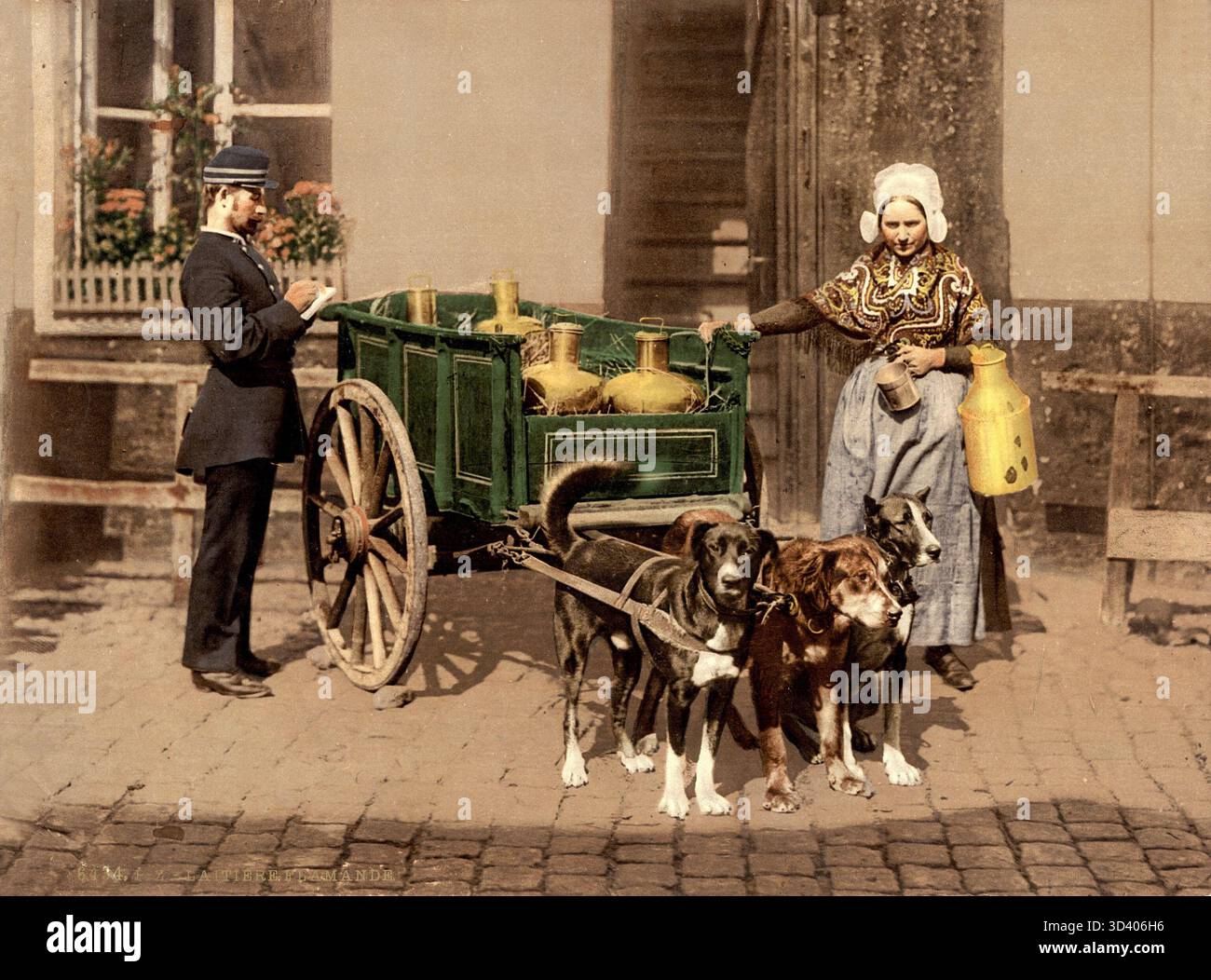 Immagine Photochrome che mostra un venditore di latte fiammingo in abito tradizionale con un carrello trainato da cani nelle Fiandre, in Belgio, tra il 1890 e il 1910. Le ruote del carrello sono bloccate da pietre per la fotografia. Foto Stock