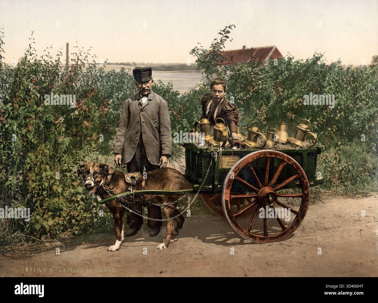 Immagine Photochrome di un lattaio fiammingo con un carrello trainato da cani in Belgio tra il 1890 e il 1910. Il venditore indossa abiti tradizionali e il carrello viene utilizzato per la distribuzione del latte. Foto Stock