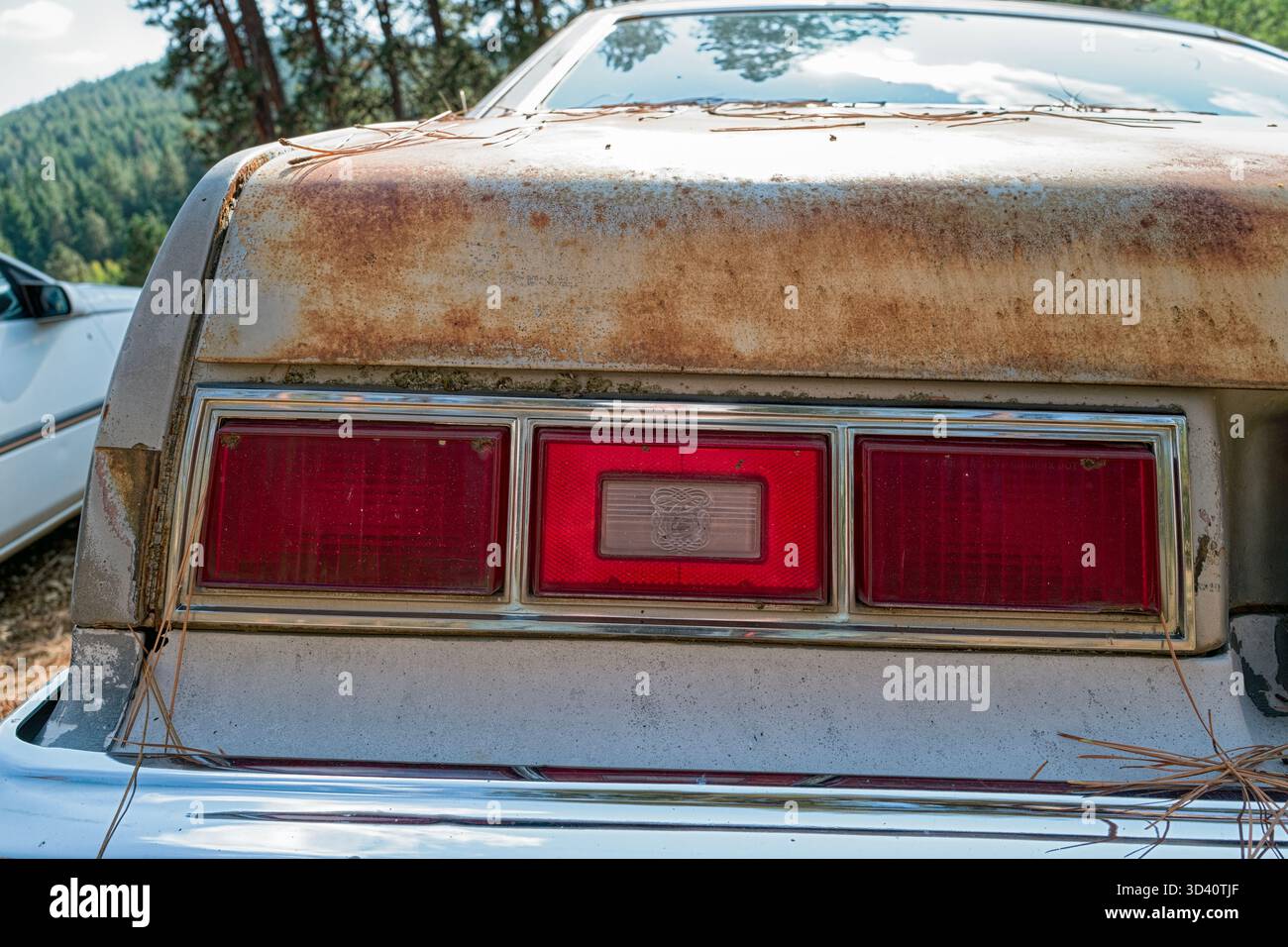 La caratteristica luce di posizione posteriore su una Chevy Nova Coucours coupé del 1977 Foto Stock