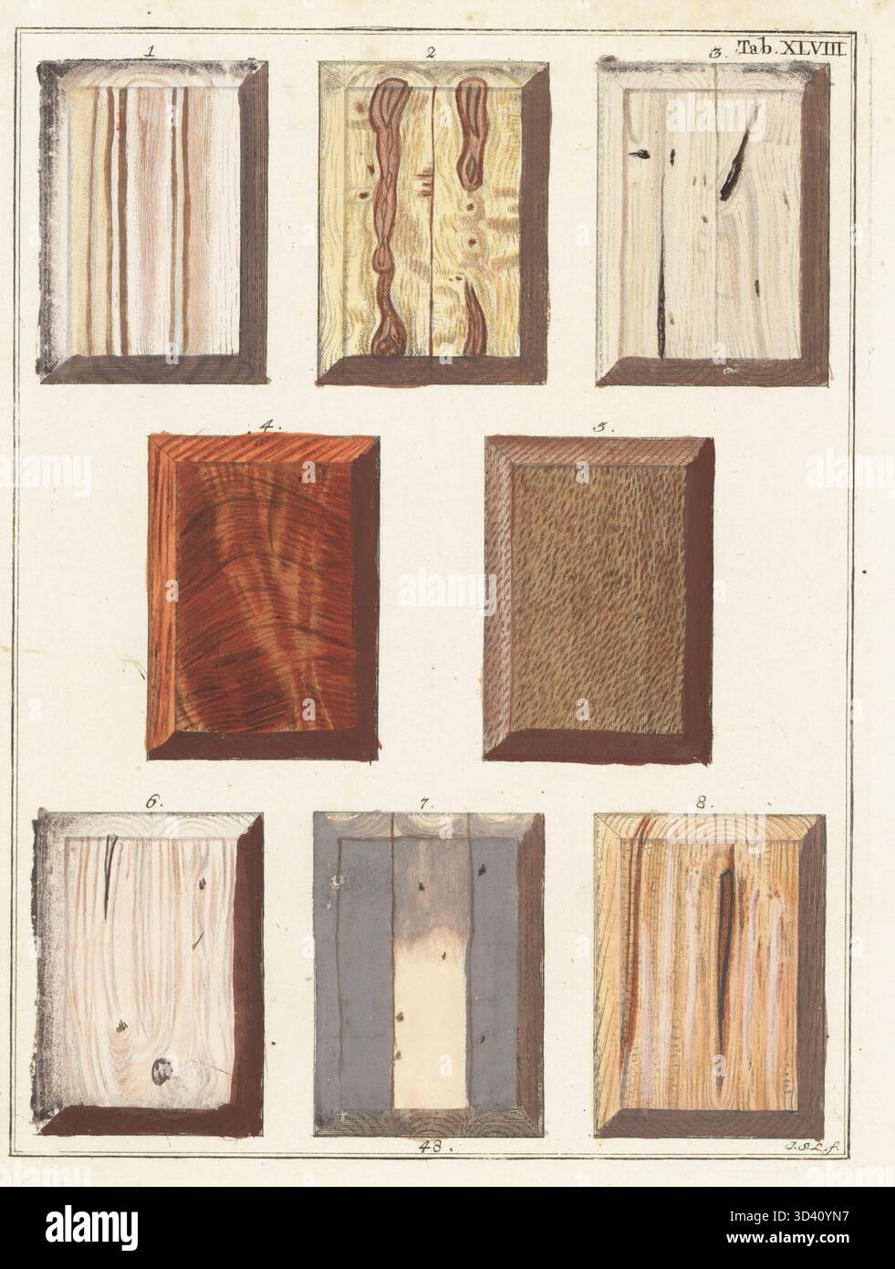 Pioppo balsamico 1, Melia azedarach 2, rosa di alloro 3, radice di mogano 4, bryony 5 bianco, pianta 6 della Mauritania, pioppo tremante dell'Etiopia 7 e fico del Bengala 8. Incisione in rame colorata a mano di Jan Christian Sepp da Icones Lignorum exoticorum et nostratium di Martinus Houttuyn: Wood Science, rappresentazioni di boschi nativi ed esotici, J.C. Sepp, Amsterdam, Olanda, 1773. Foto Stock