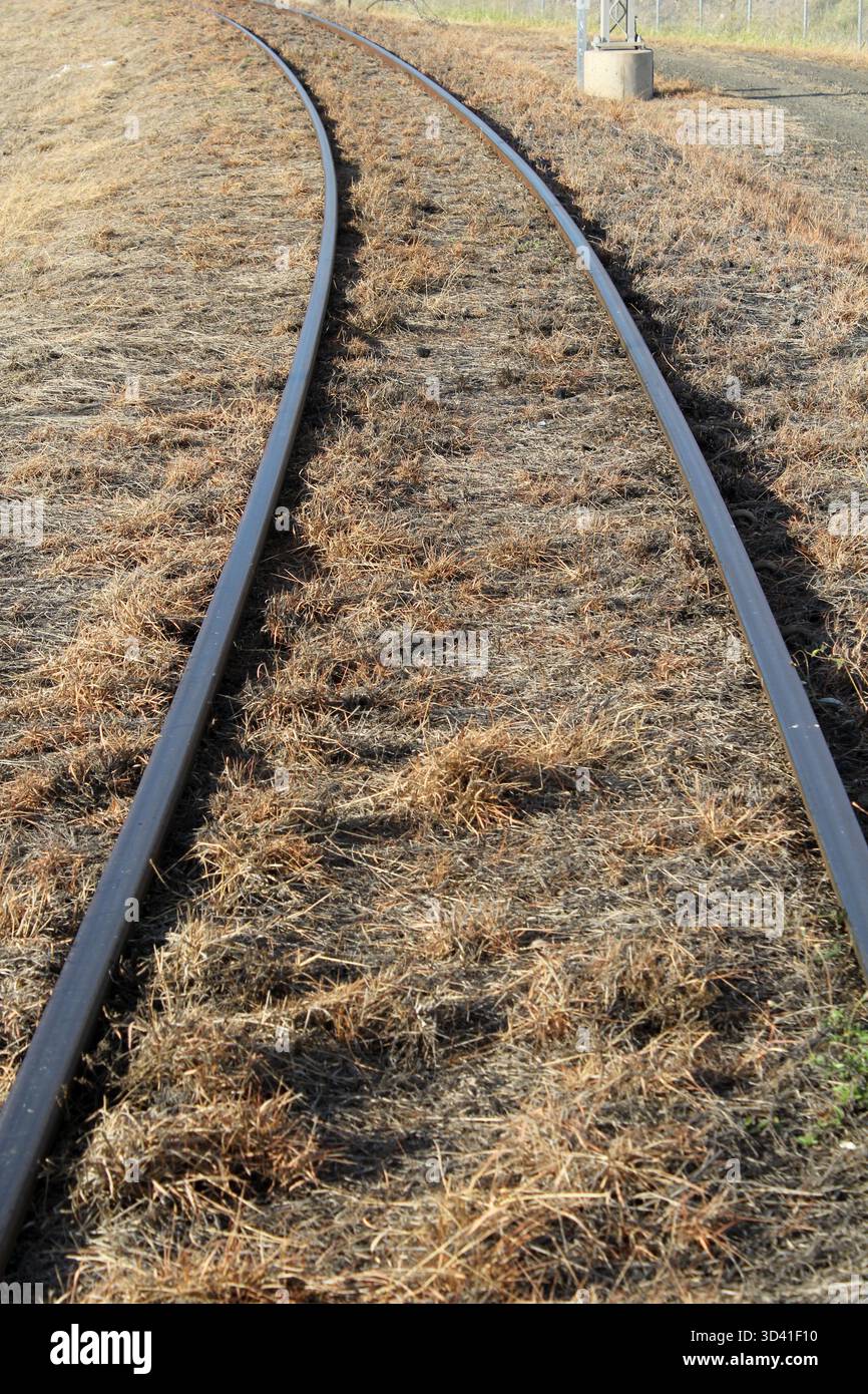 Primo piano dei binari ferroviari ricoperti di erba marrone secca Foto Stock