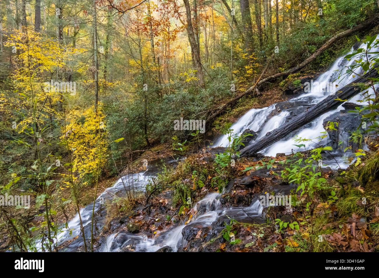 Vista autunnale delle cascate Trahyta all'alba nella foresta nazionale di Chattahoochee al Vogel State Park vicino a Blairsville, Georgia. (USA) Foto Stock