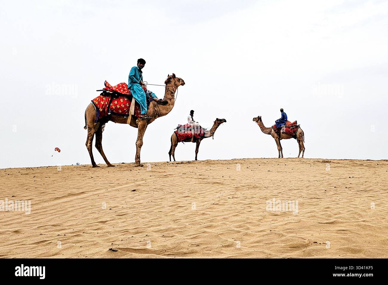 Tour delle dune sotto il cielo largo dei cammelli nel deserto a bordo di un variopinto selle Foto Stock