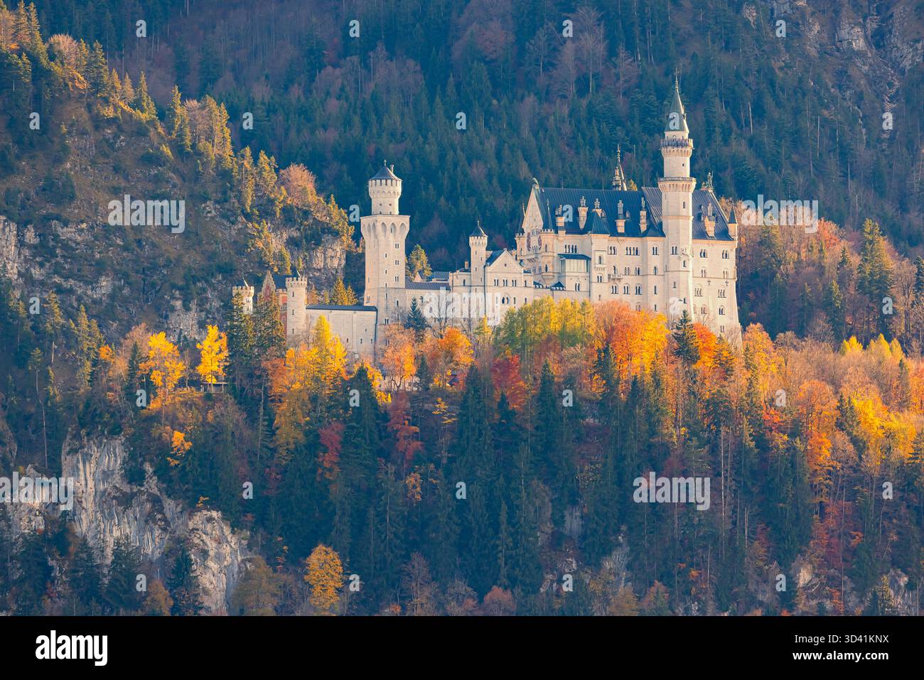 Vista laterale del castello di Neuschwanstein in Baviera, Germania, catturata dalla luce soffusa e calda del tardo pomeriggio in autunno. La famosissima Fairyta Foto Stock