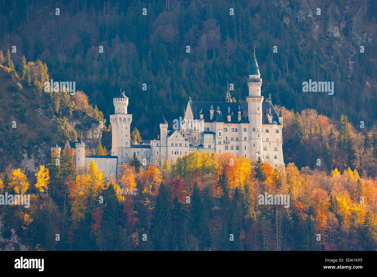 Vista laterale del castello di Neuschwanstein in Baviera, Germania, catturata dalla luce soffusa e calda del tardo pomeriggio in autunno. La famosissima Fairyta Foto Stock