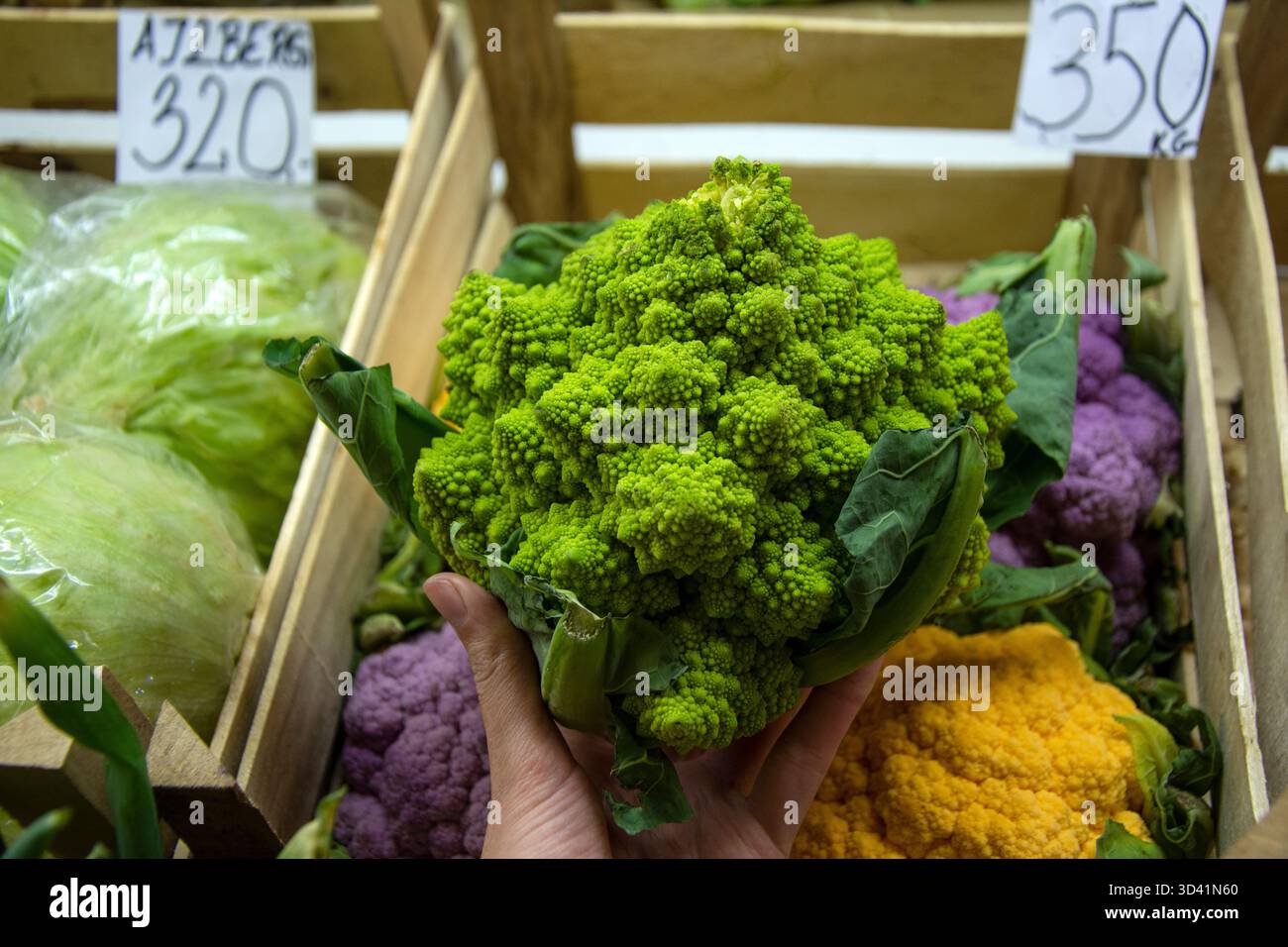 Broccoli Romanesco in mano al mercato Foto Stock