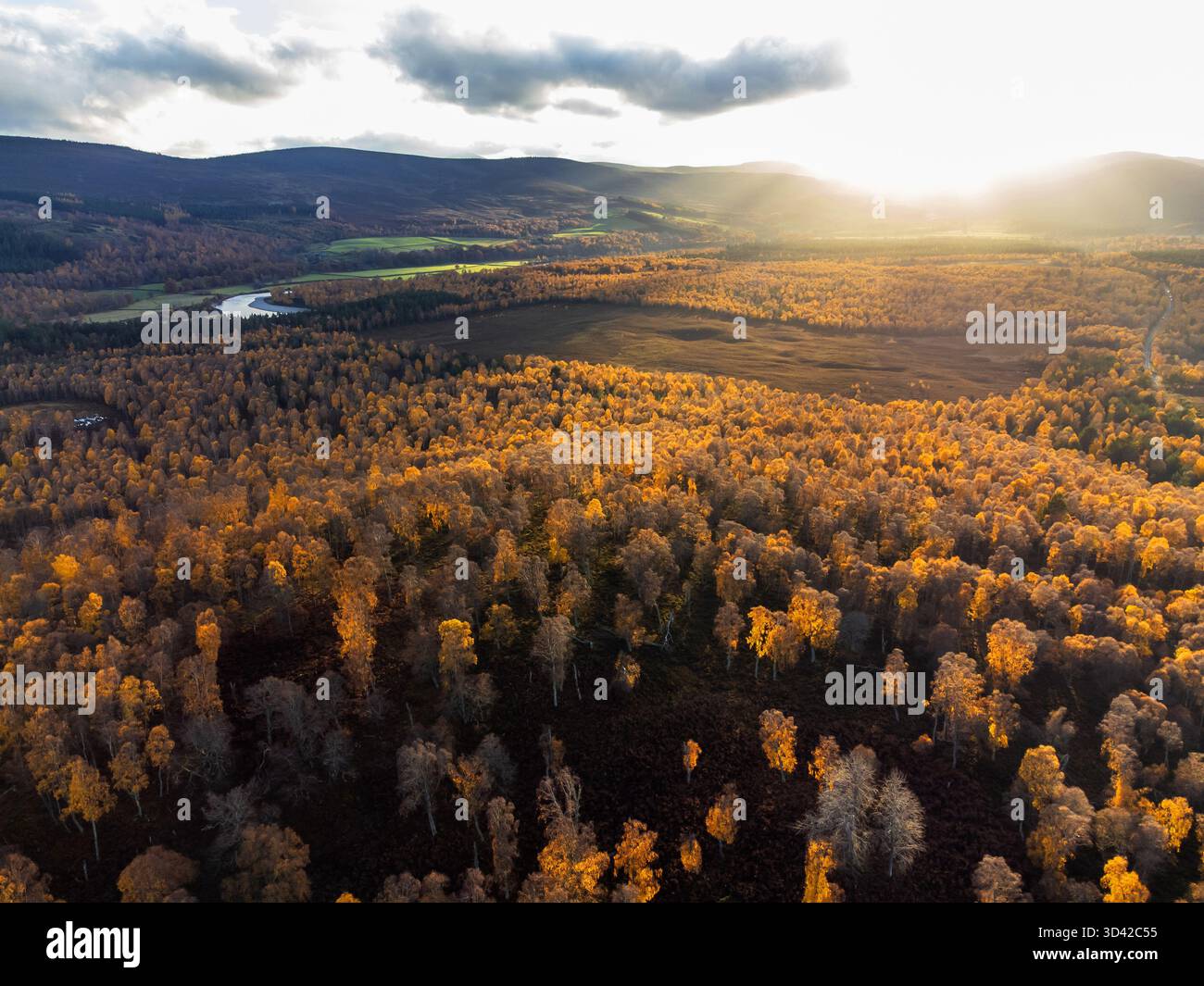 Il Parco Nazionale di Cairngorms in autunno Foto Stock