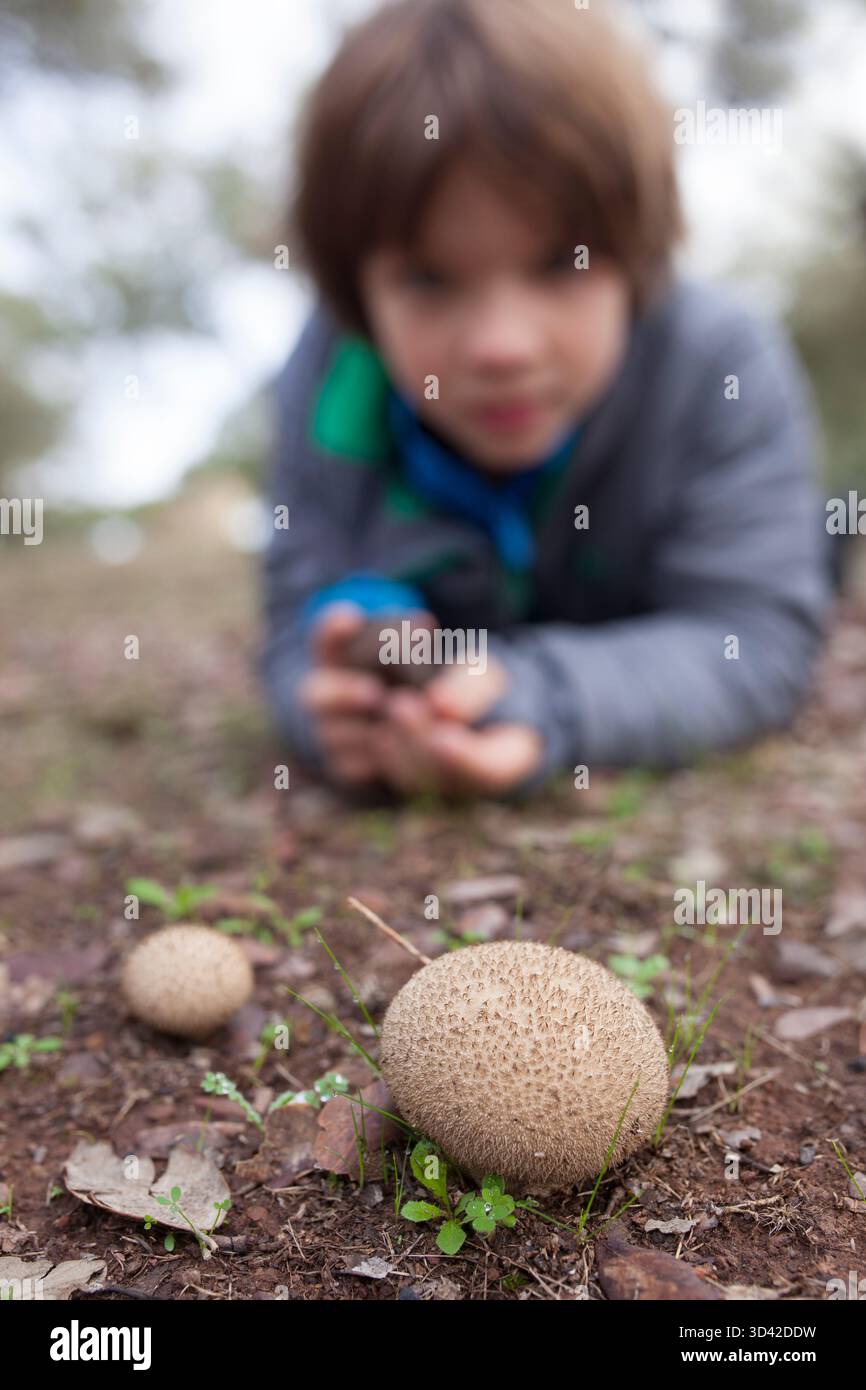 Bambino che osserva un fungo da terra. Botanica per bambini curiosi Foto Stock