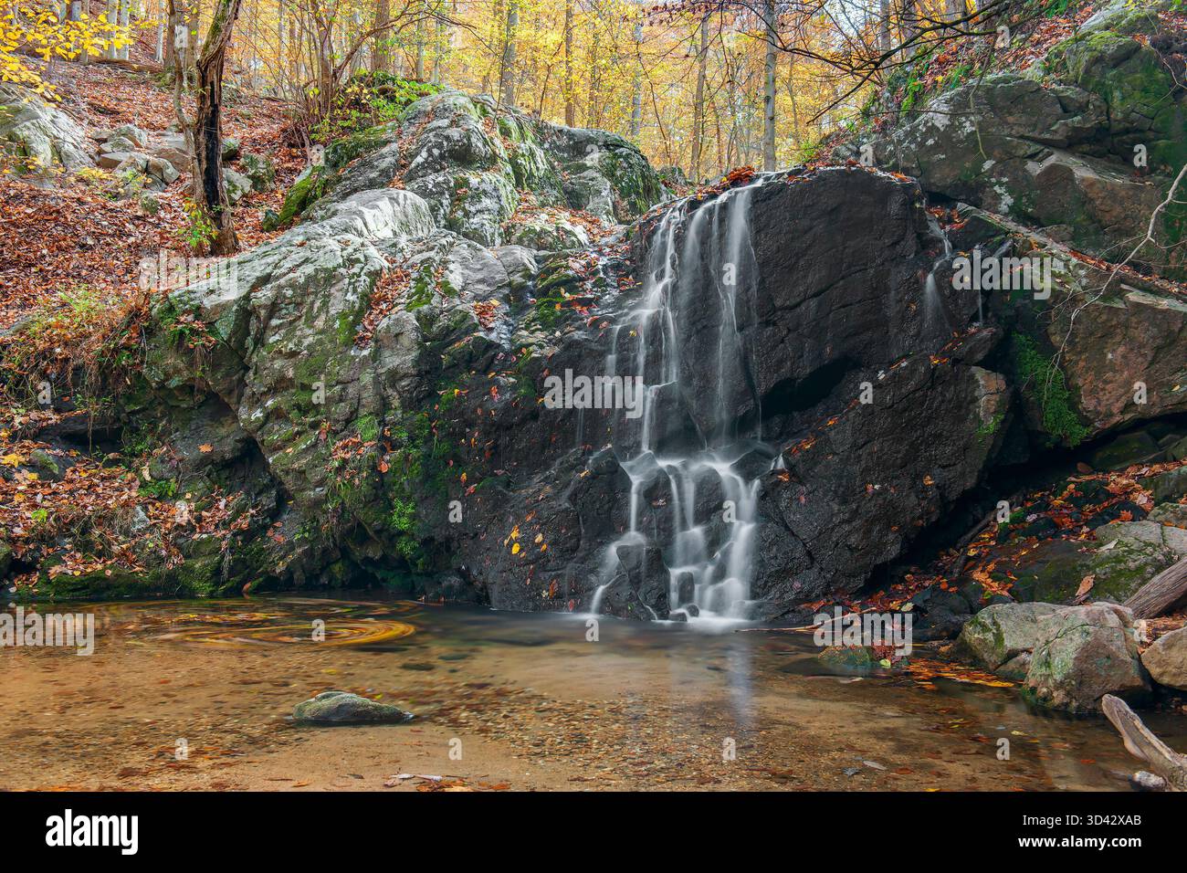 Cascade Falls nel Patapsco Valley State Park. Autunno. Città di Ellicott. Maryland. STATI UNITI Foto Stock