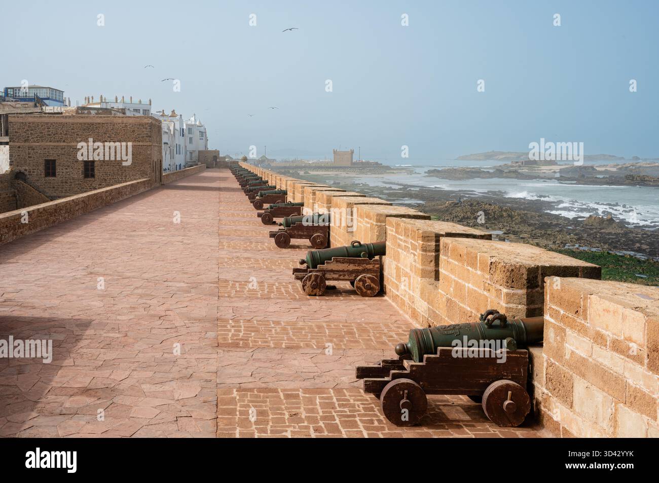 Cannoni storici fiancheggiati lungo le mura fortificate della città di Essaouira, in Marocco, in una mattinata nebbiosa. Foto Stock
