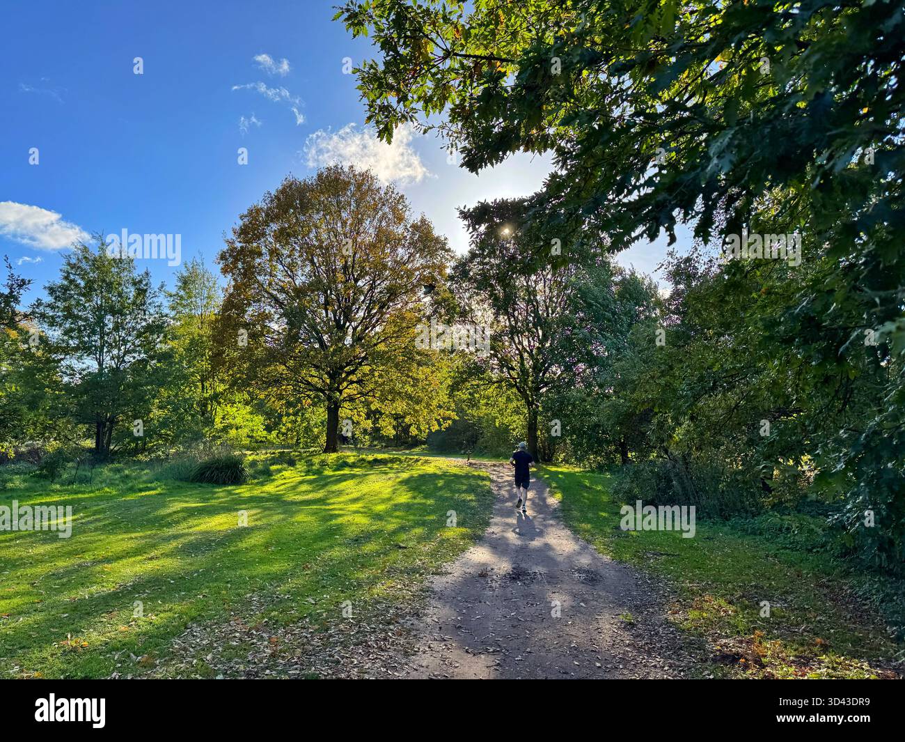 Corridore nel bosco deciduo di Tredegar Park, Galles del Sud - Immagine stock catturata con smartphone