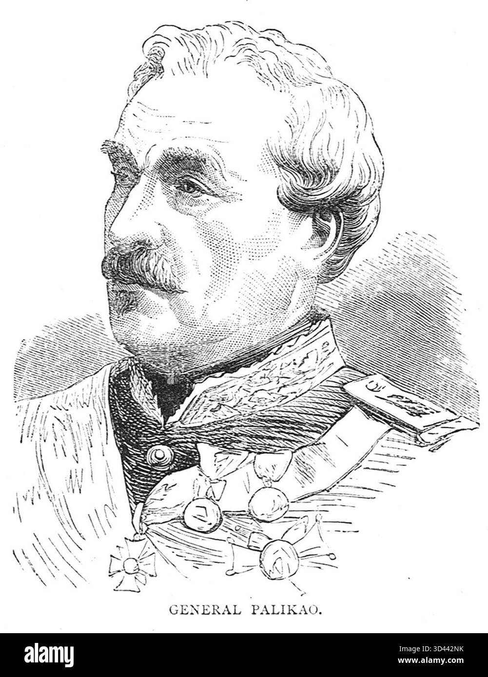 Generale Palikao, ministro della guerra e presidente del consiglio (effettivamente primo ministro della Francia) durante la guerra franco-prussiana. Foto Stock