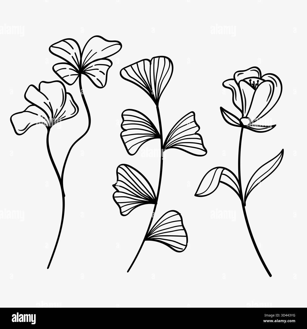 Fiori disegnati a mano elementi minimali in stile art di linea. Vegetazione per la decorazione, piante selvatiche e da giardino, rami, foglie. Illustrazione vettoriale Illustrazione Vettoriale