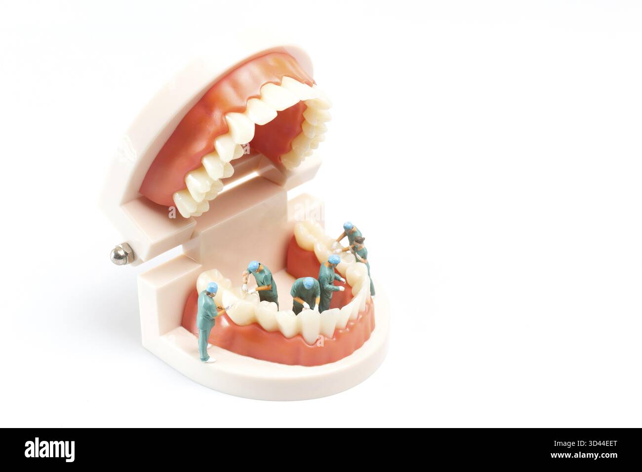 Persone in miniatura, dentista che ripara i denti umani con gengive e smalto, salute e concetto medico Foto Stock