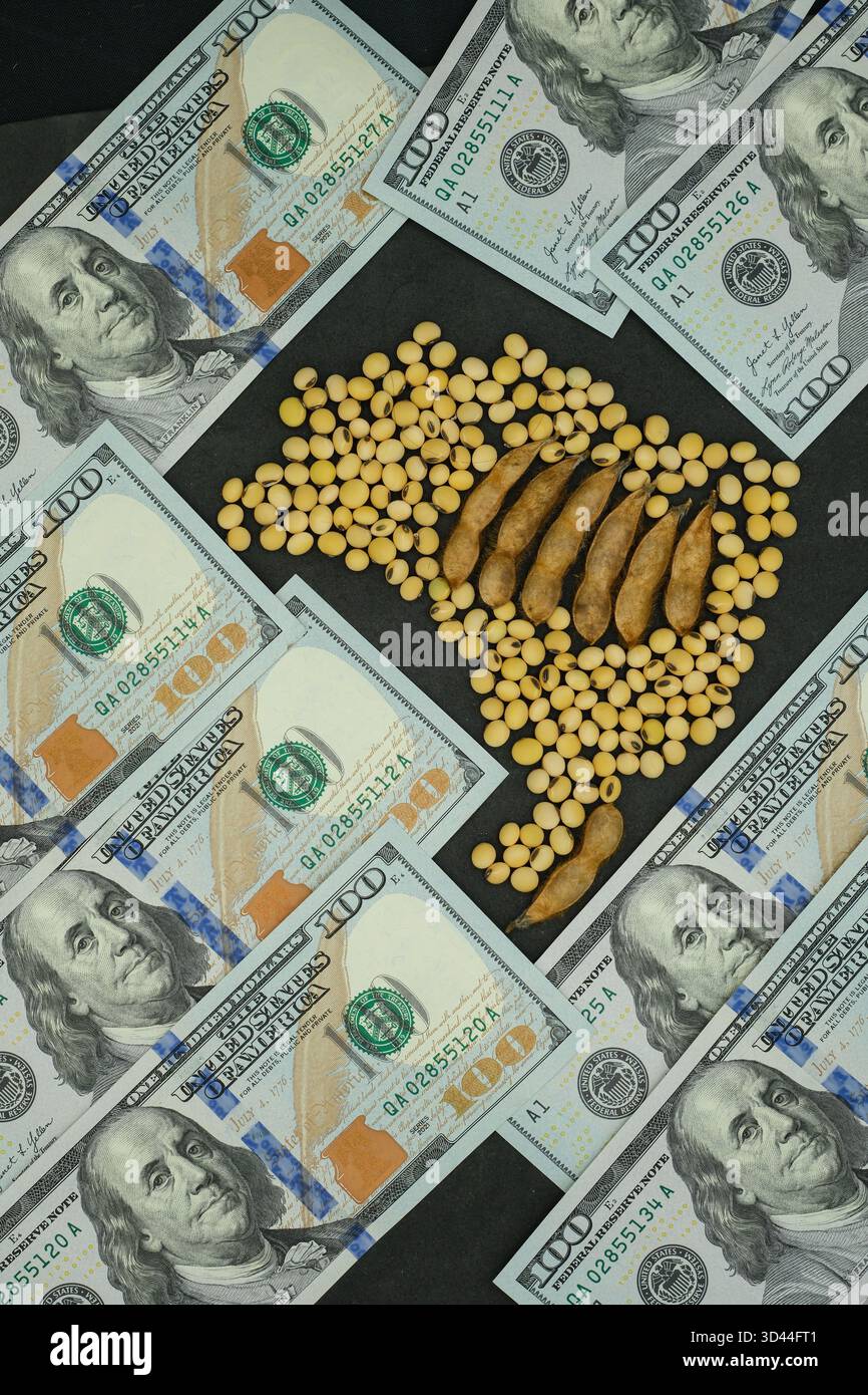 Mappa del Brasile fatta di soia. Dollari americani. Commercio globale brasiliano di soia e farina di soia. Foto Stock