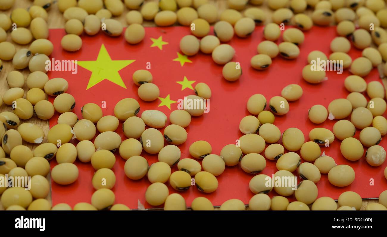 Soia sullo sfondo della bandiera cinese. Mercato globale della soia, importazioni agricole, commercio, guerre commerciali, tariffe. Foto Stock