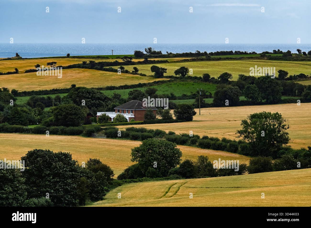 Tranquillo scenario di campagna che mostra una casa circondata da campi dorati e lussureggiante vegetazione sotto un cielo sereno. Foto Stock